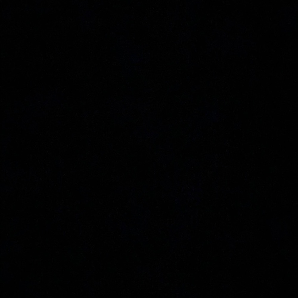 Meet your Posher, Abbey